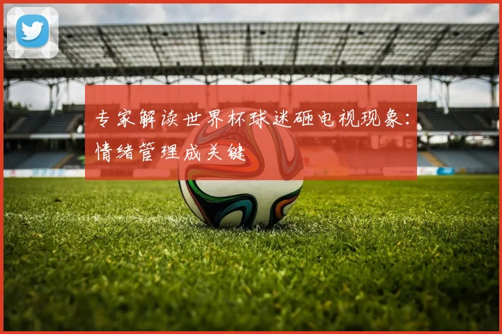 专家解读世界杯球迷砸电视现象:情绪管理成关键