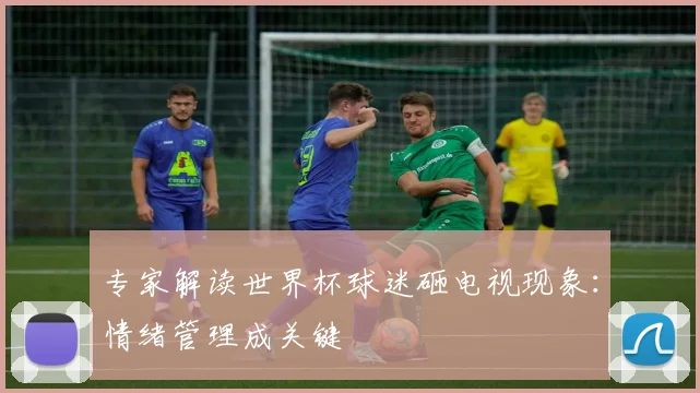 专家解读世界杯球迷砸电视现象：情绪管理成关键