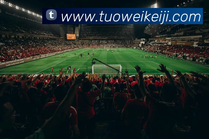 App Interface Preview