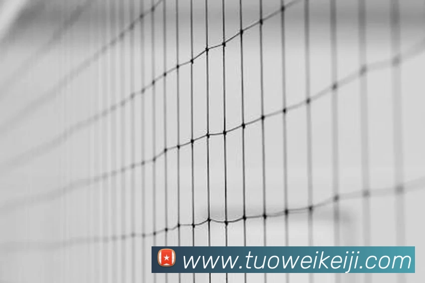 emc易倍官方官网APP 封面图